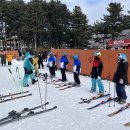 주일학교 스키캠프 지산 스키장(2024년2월23일)-3 이미지