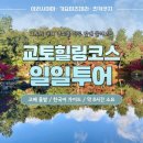 주식회사 힐링투어 - 제주시 | 주식회사 힐링투어
