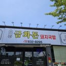 삼천포금화돈