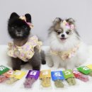 아임마인드 이미지