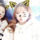 도일렌터카 이미지