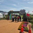 대저생태공원 | 🏵️ 부산 대저 생태공원 유채꽃 만개 후기 | 지금 가면 딱 예쁜 시기! (+ 주차 꿀팁)