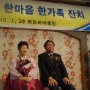 선경타올