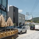 나라라펫 이미지