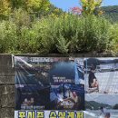 포시즌미디어