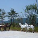 공주고속도로(대전) 휴게소 이미지