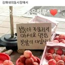 김해 내외동시장 이미지