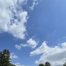 잣향기푸른숲 축령백림관 이미지