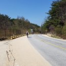 대성명가유통 | [SBT/쎄바] Stage5 밤티재(417m) → 이화령(548m) or 소조령 ..스크롤 압박.. - 170415