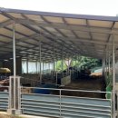 팔미농장 이미지