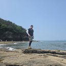 변산 Daum카페