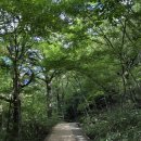 구례청계 이미지