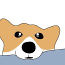 씨유덴탈 이미지