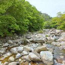 날마다장날 이미지