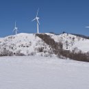 삼양목장 이미지