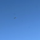 담양 글리제977 이미지