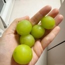 수돈재 | 주말 데이트 영화 어쩔수가없다 후기 공릉 감자탕 맛집 수돈재 추천