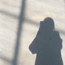 꽃 꿀방 이미지