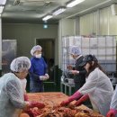 3661 | 국제로타리 3661지구 부산동아로타리클럽 12월 14일 김장 해본 후기