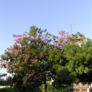 부에노스아이레스 이미지