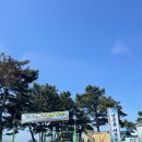 자연건강그신비를캐는사람들 | 남북어촌체험마을 : 더 더워지기 전에 출동! 준비물 꿀팁부터 조개 가득 캐온 영종도 갯벌체험 생생 후기
