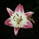 동방캠핑하우스 이미지