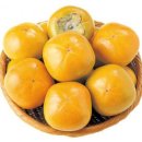 심곡초등학교 이미지