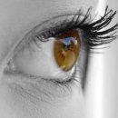 VISION(비젼)안경콘택트 이미지