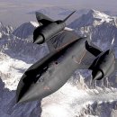 Blackbird 이미지