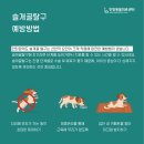 인방동물의료센터 이미지