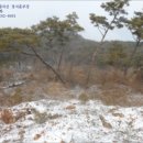 한반도면-1 이미지