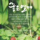 좋은열매