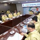 당진야구장 이미지