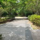 보경부동산공인중개사사무소 이미지