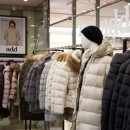 애드31