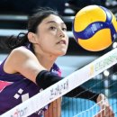 흥국생명 이미지