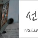 남구-073 이미지