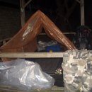 도로감시 이미지