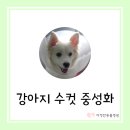 다정한 동물병원 이미지