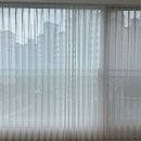 건양대네거리 | 감성기억 대전커튼 색상 선택 노하우