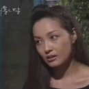 홍진희