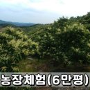 용봉농장 이미지