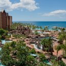 야자수 풀빌라 이미지