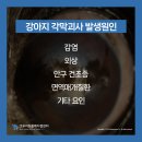 우리동물메디컬센터 이미지