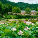 민속체험박물관 이미지