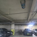 하나로3길 | 머리 하나로 분위기 전환✨ 굵은 히피펌 대만족 후기 with 박승철헤어스투디오여의도이마트점