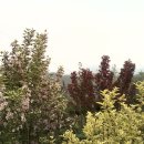 고향농장 이미지