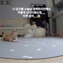 러버몽 이미지
