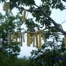 소룡산경로당 이미지