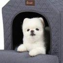 펫 하우스 이미지